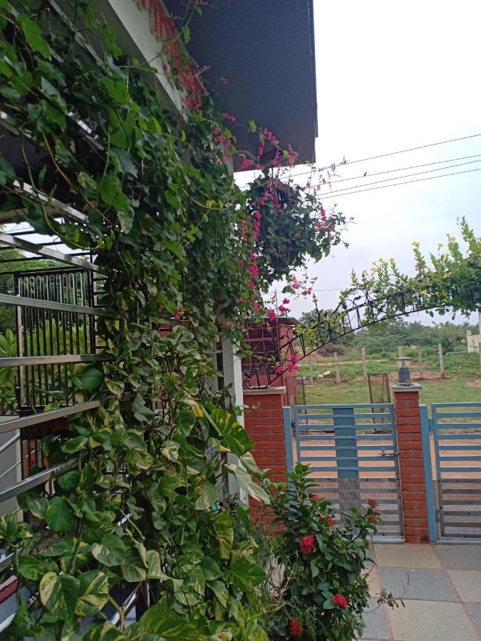 Mango Tree Homestay Hampi Exteriör bild
