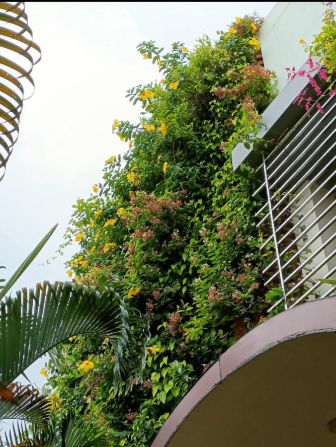 Mango Tree Homestay Hampi Exteriör bild