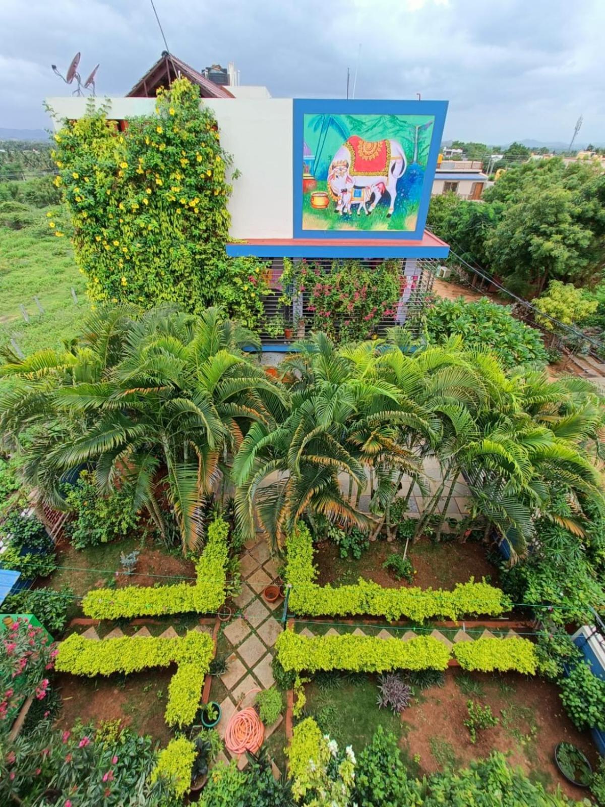 Mango Tree Homestay Hampi Exteriör bild